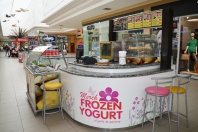 Frozen Yogurt