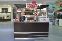 Frozen Yogurt